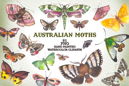 Australian Moths hand painted