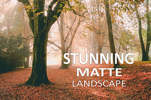 10 Stunning Matte Landscape Presets