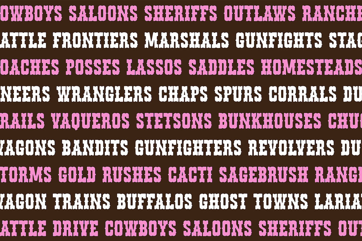 WILD AND WESTERN Font Bundle, a Handwritten Font by Blush Font Co. (Photo 6 of 9)