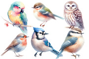 Watercolor Bird clipart, an Illustration by Designworld (Thumbnail 2 of 5)