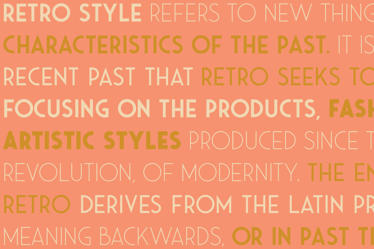 Saveur Sans, a Sans Serif Font by Arkitype (Photo 11 of 15)