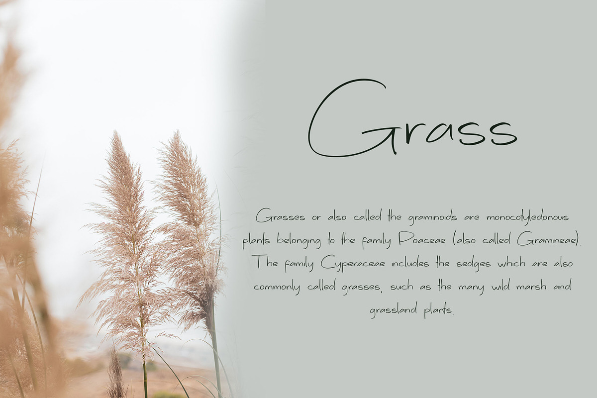 Sympathism Handwriting Font, a Handwritten Font by NTC Graphic