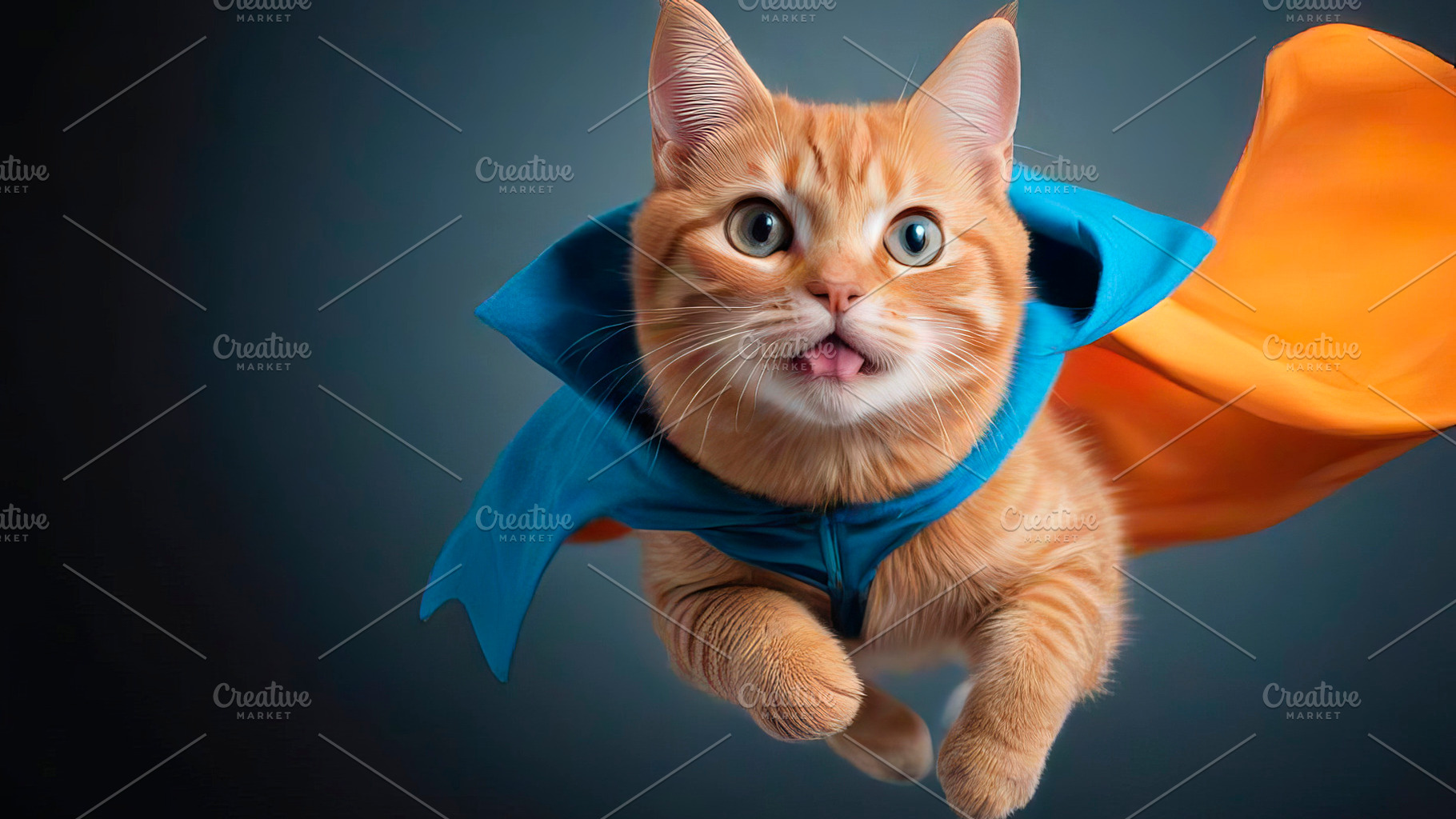 Cute ginger tabby cat dressed as sup, an Animal Photo by TatsianaSalauyova