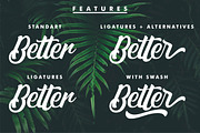 Matane Typeface + Swash, a Script Font by YdhraStudio (Thumbnail 7 of 9)