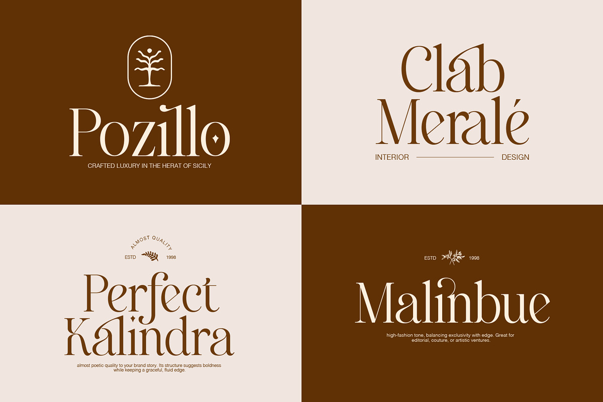 Emofera | Modern Serif Font, a Serif Font by The_Type (Photo 3 of 12)