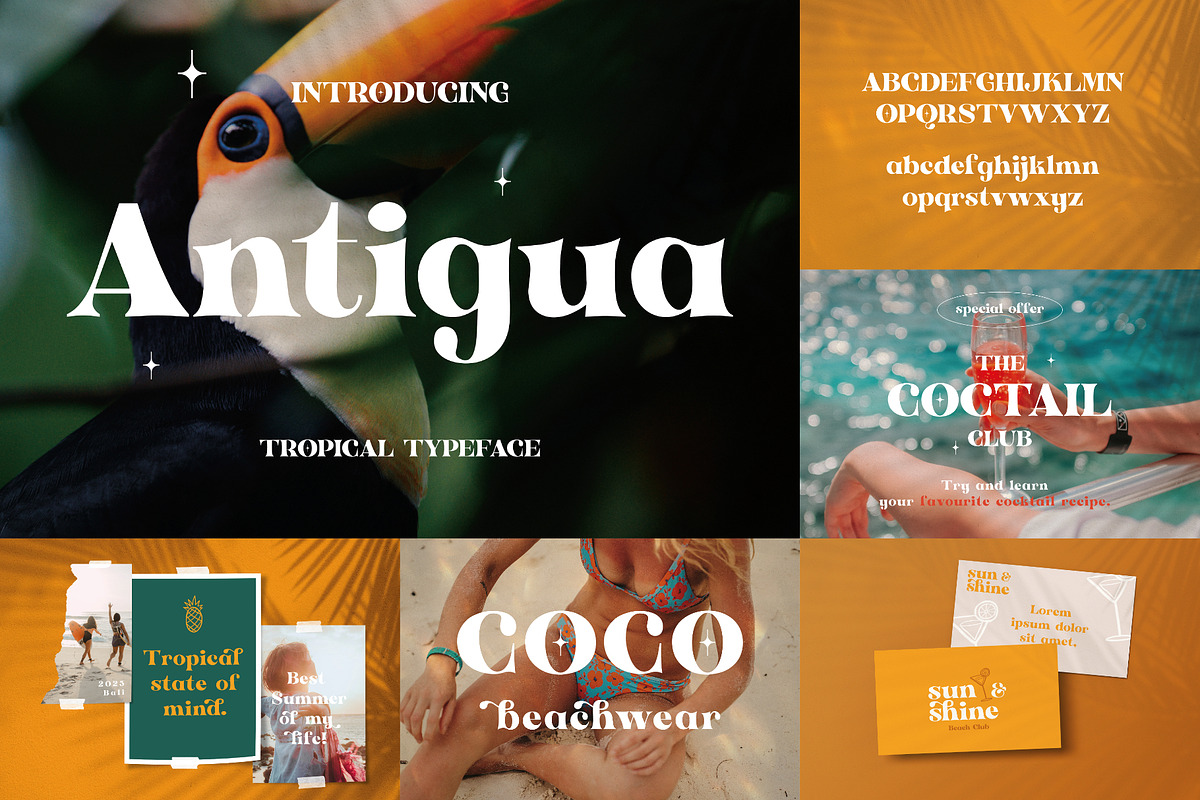 The Modern Font Bundle - 33 Fonts, a Sans Serif Font by HipFonts
