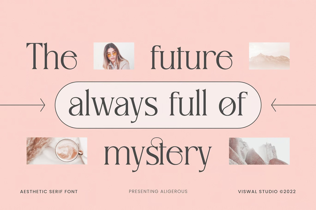 Aligers - Modern Font, a Serif Font by Viswal Studio (Photo 3 of 5)
