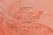 Rayetta Wegatta, a Script Font by Integritype Studio (Thumbnail 11 of 15)