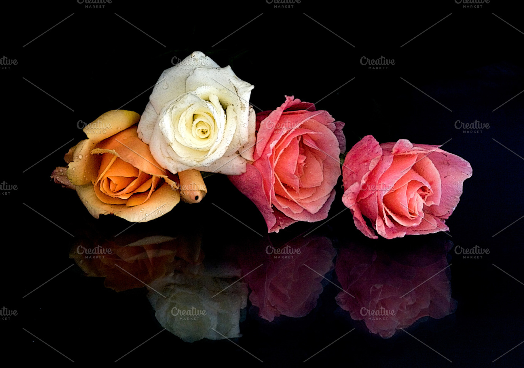 Bouquet Of Roses Featuring Roses Flowers And Bouquet Of Roses