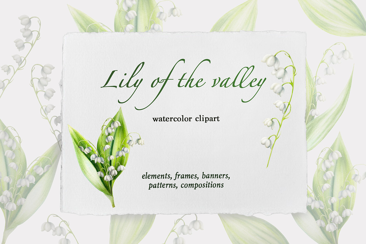 Lily of the valley watercolor, an Object Illustration by Navenzeles (Photo 1 of 10)