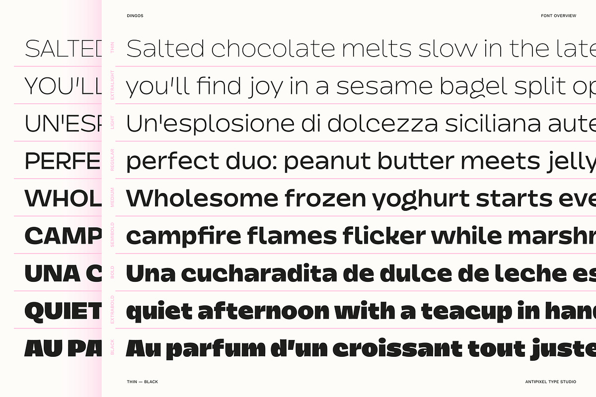 Dingos | Compact Chunky Display Sans, a Sans Serif Font by Antipixel Type Studio (Photo 8 of 16)