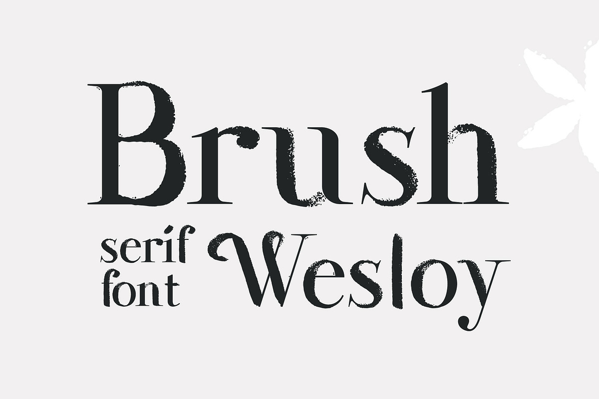 Wesloy dry brush serif font, a Serif Font by kaer_shop (Photo 1 of 9)