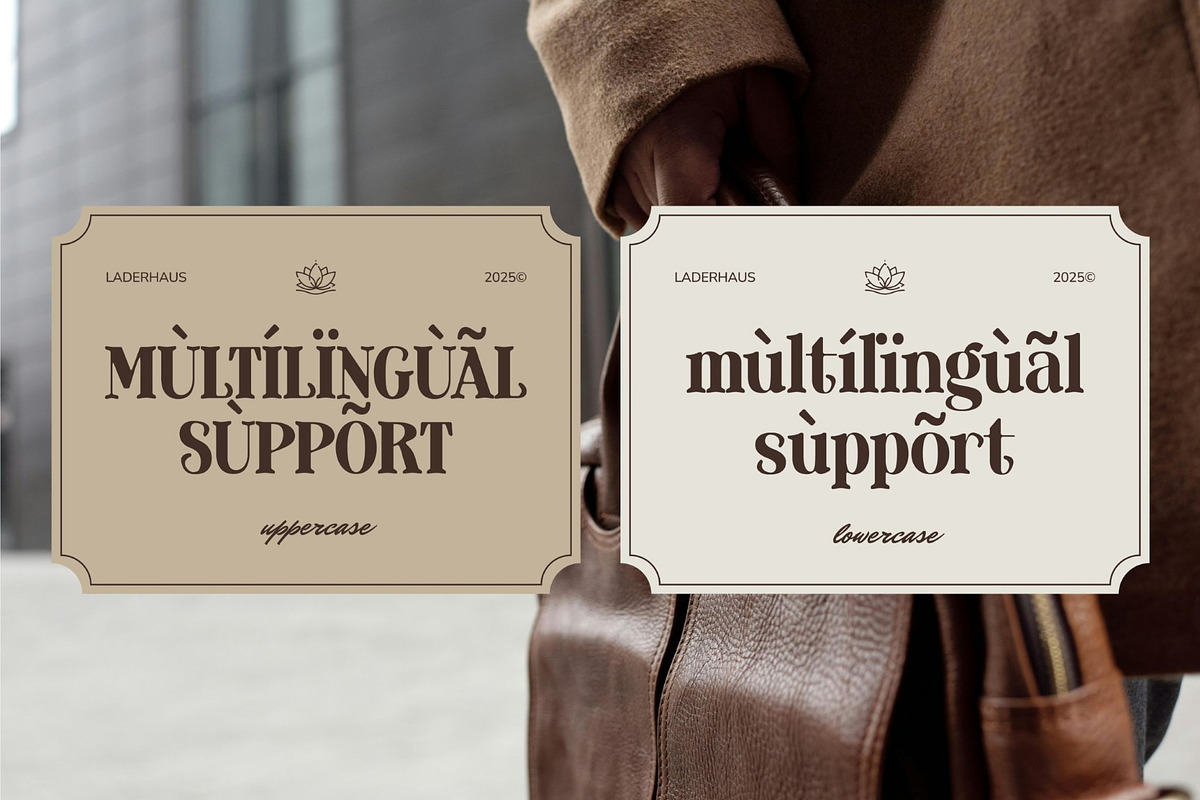 Laderhaus - Display Font, a Serif Font by Studio Moara (Photo 9 of 11)