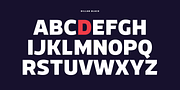 Dillan, a Sans Serif Font by TypeUnion (Thumbnail 11 of 14)
