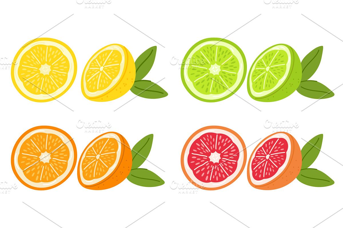 Fruit slices. Juicy citrus, a Food Illustration by Vectorbuum
