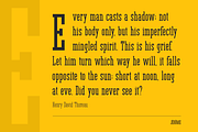 Jerome - Condensed Slab Serif, a Slab Serif Font by peterdraw (Thumbnail 7 of 17)