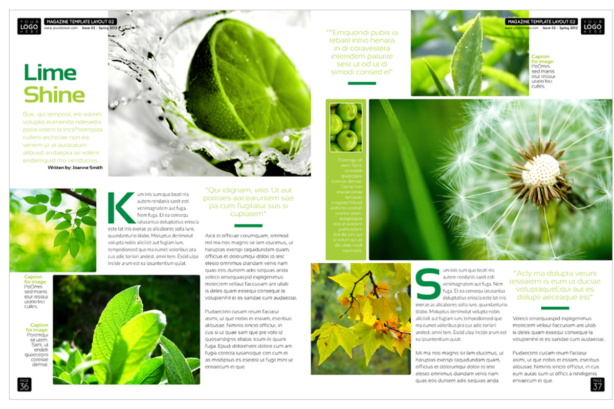 Magazine Template InDesign 02, a Magazine Template by Love Graphic Design (Photo 27 of 36)