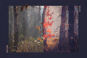 Red Aurora Artistic Lightroom Preset, an Action Add-On by Mark Borbely (Thumbnail 4 of 14)