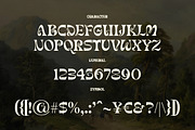 Siofeca Martis - Display Serif Font, a Serif Font by Shakira Studio (Thumbnail 10 of 10)