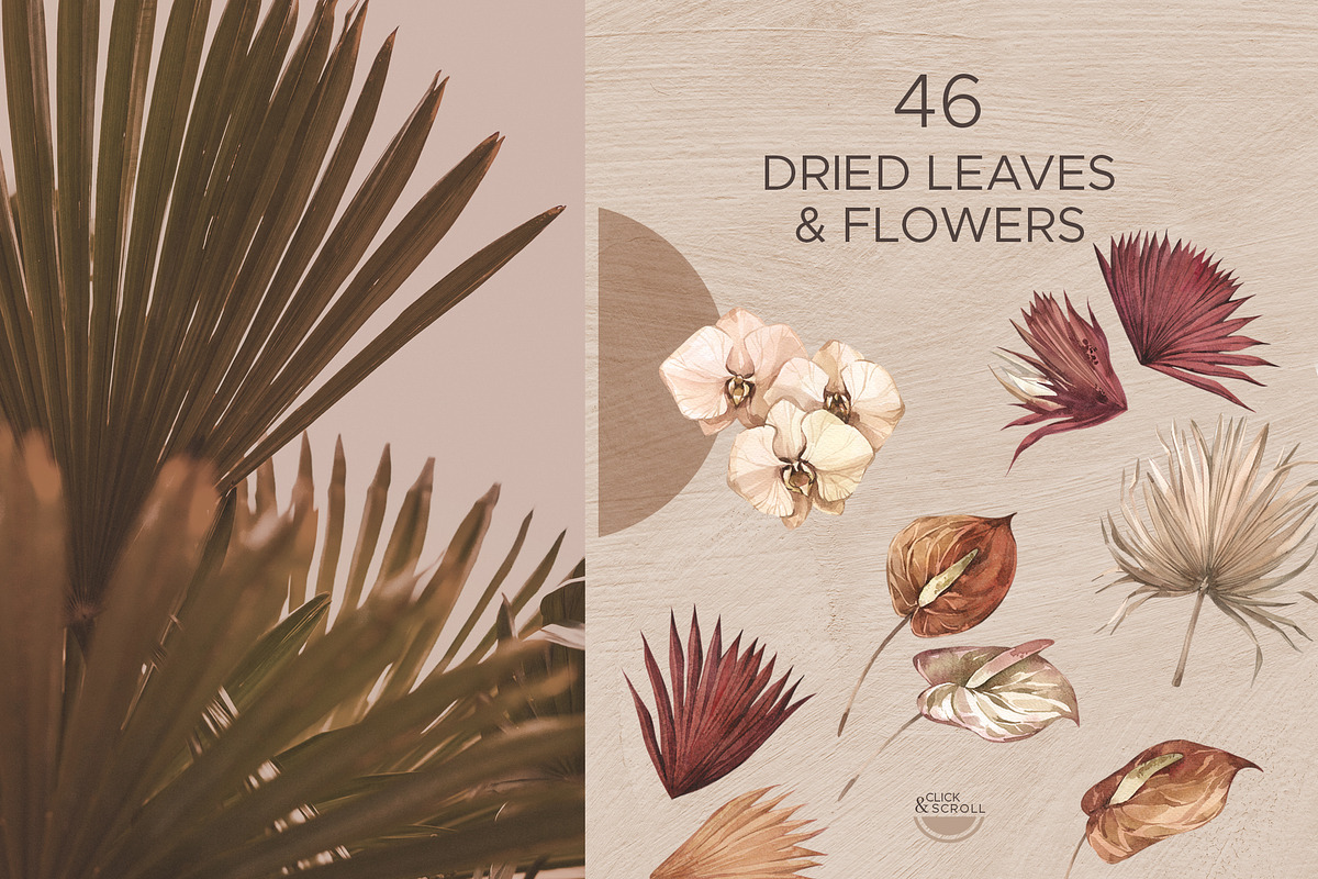 OASIS Gouache shapes & dried leaves, an Object Illustration by Anastezia Luneva (Photo 9 of 12)