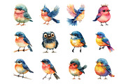 Watercolor Whimsical Bird Clipart, an Illustration by SinaCreation (Thumbnail 2 of 7)