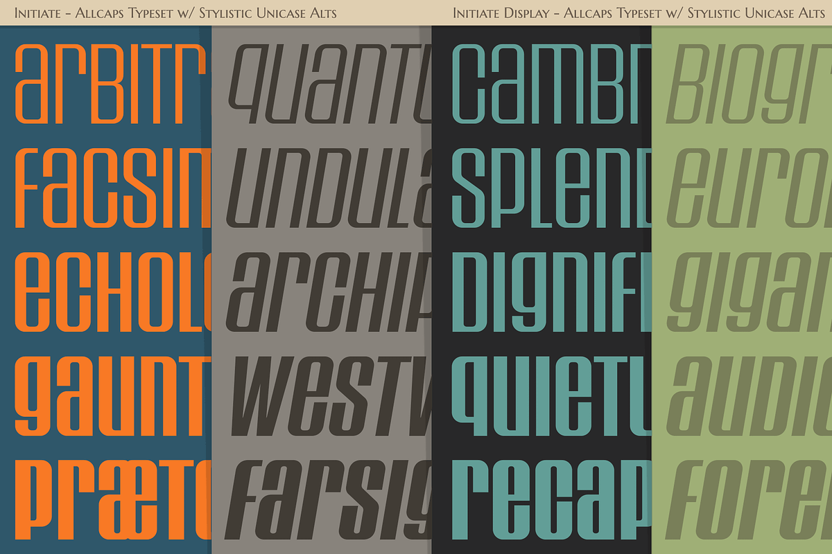 Initiate Collection, a Sans Serif Font by Stiggy & Sands (Photo 4 of 9)