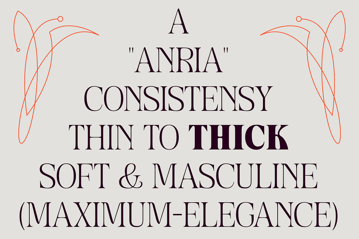 Anria Typeface, a Serif Font by Khoir (Photo 3 of 12)