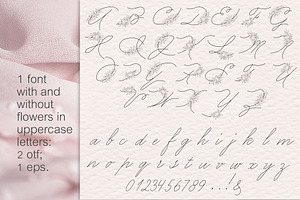 Peony Procreate Stamps, Cliparts