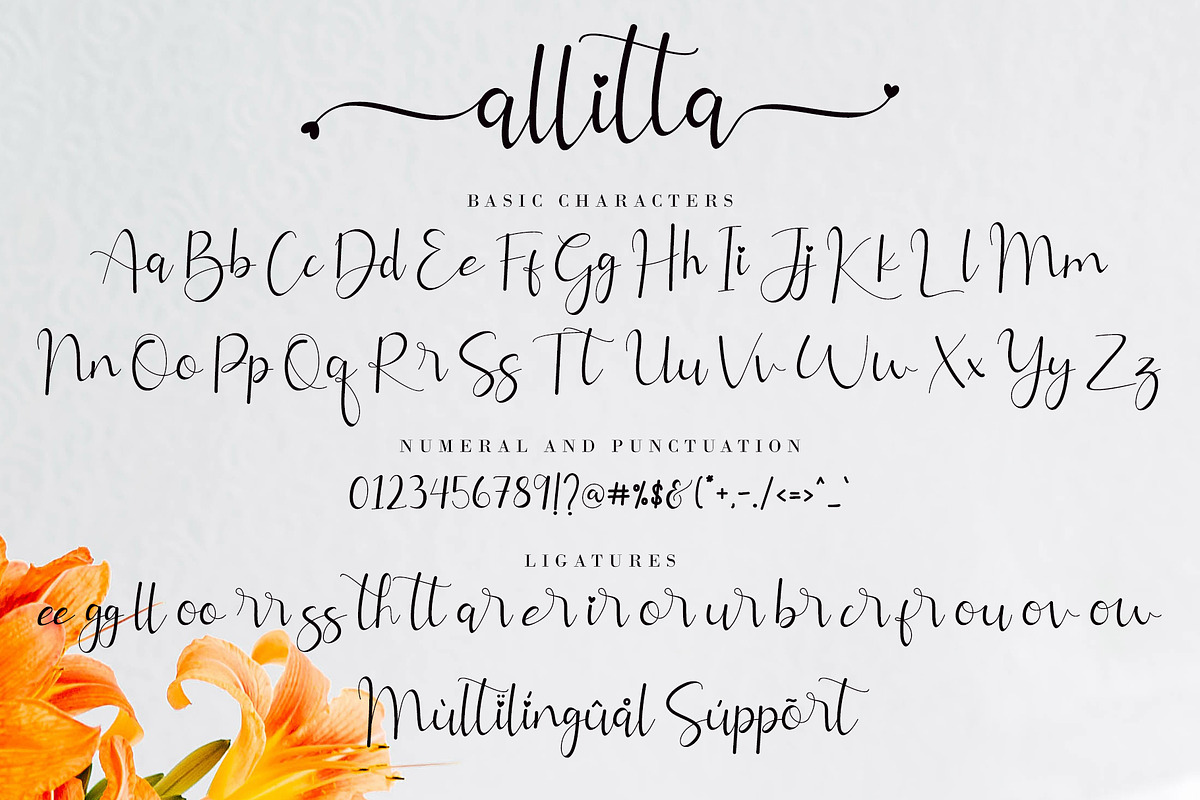 Allitta, a Script Font by AEN Creative Studio (Photo 9 of 11)