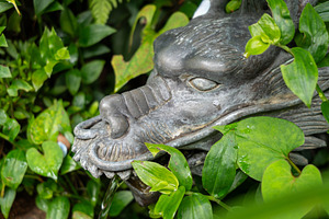 Bronze dragon fountain hidden in greenery on Enoshima Island, Ja, a Nature Photo by GoodGoods