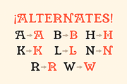 Hubano — Cigar box font, a Serif Font by SimpleBits® (Thumbnail 4 of 4)