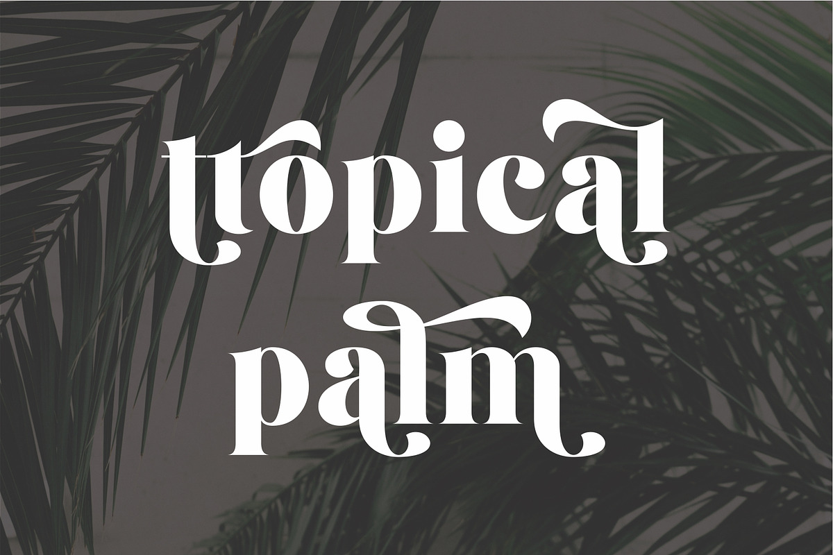 Montena Cottage Stylish Retro Serif, a Serif Font by Dylla_studio (Photo 5 of 10)