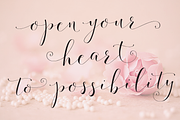 Fashionista Modern Calligraphy, a Script Font by Emily Spadoni (Thumbnail 2 of 9)