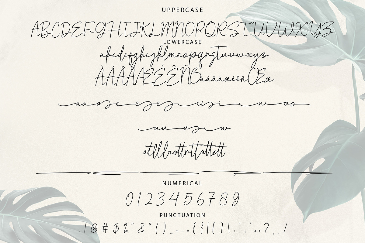 Weldatelia Monoline Script Font, a Script Font by NTC Graphic (Photo 8 of 9)