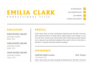 CV Resume Word Docx Template