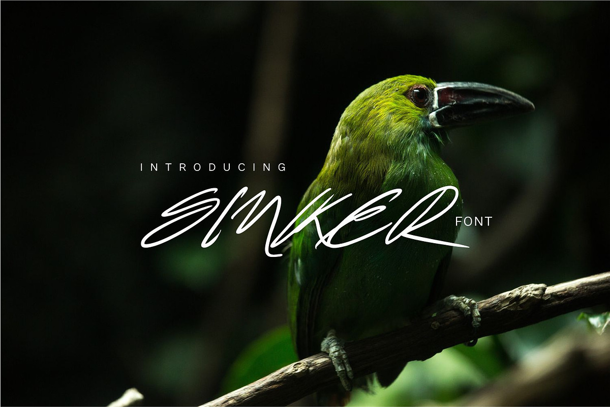 Sinker