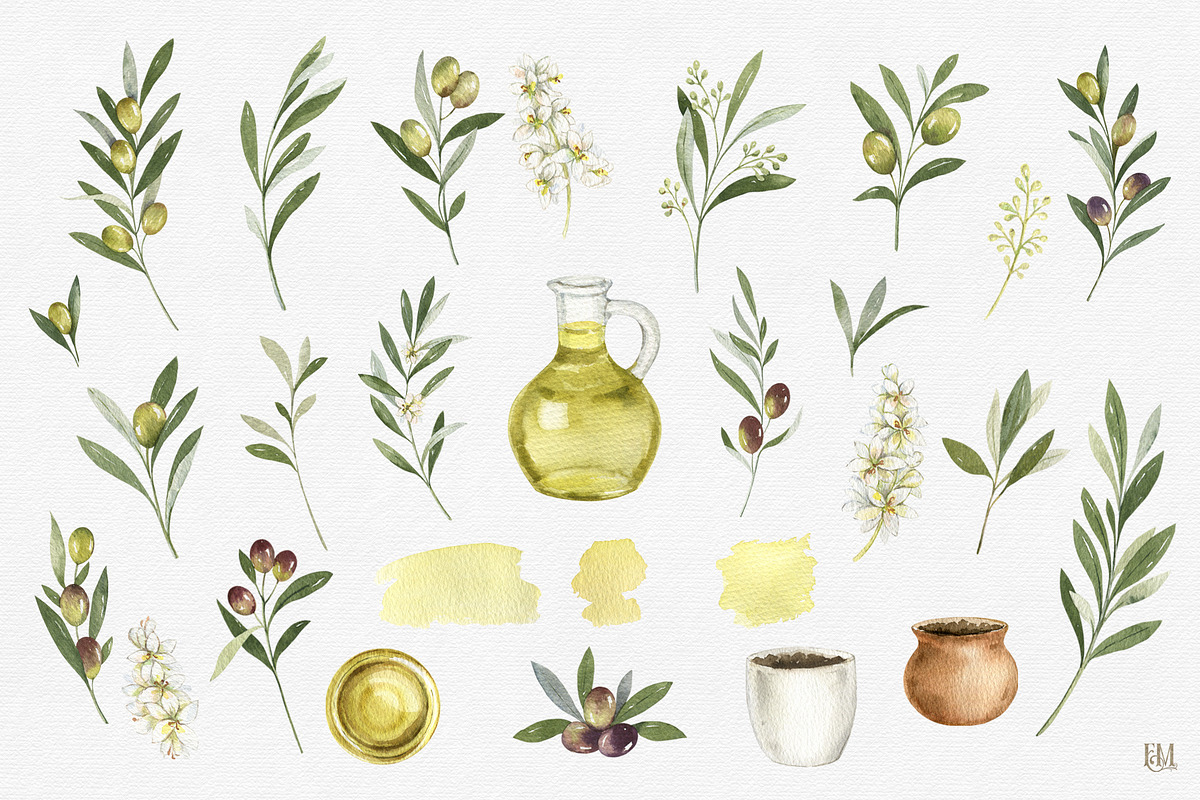 Olive watercolor collection, a Food Illustration by Elena Medvedeva