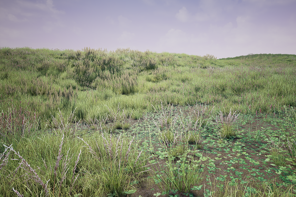 Grass Pack, an Environmental 3D Model by SilverTM (Photo 2 of 6)