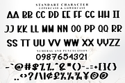 Stay House, a Script Font by FreshTypeINK (Thumbnail 4 of 7)