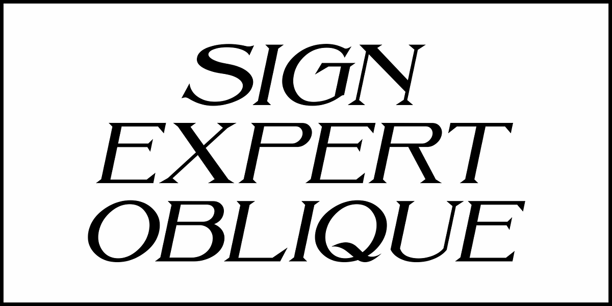 Sign Expert JNL, a Serif Font by Jeff Levine Fonts (Photo 4 of 5)