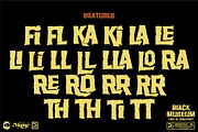 Black Museum - Retro Horror Font, a Sans Serif Font by Remedy667 (Thumbnail 4 of 6)