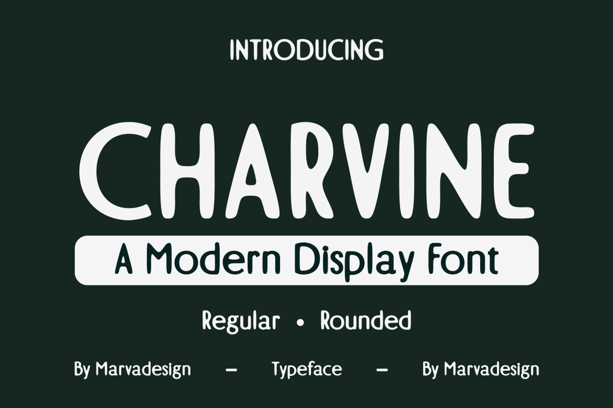 Charvine - A Modern Display Font, a Handwritten Font by Marvadesign (Photo 1 of 5)