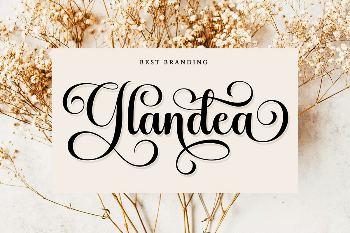 Grace Brilliant Script Font preview 6