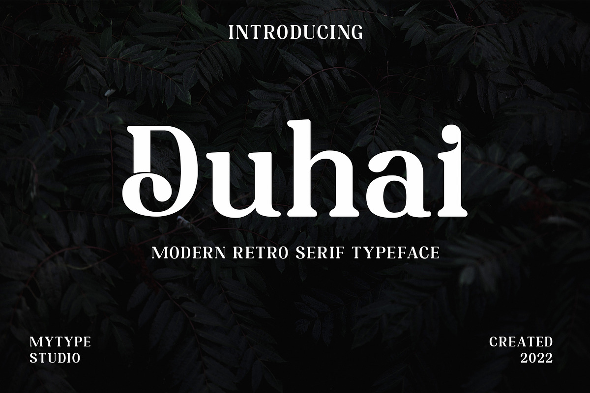 Serif & Sans Serif Font Bundle, a Sans Serif Font by Mytype Studio (Photo 6 of 22)
