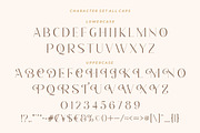 Romantic Serif - Elegant Classy Font, a Font by HansCo Studio (Thumbnail 11 of 15)
