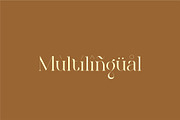 Marlita - Fight Serif Font, a Serif Font by suhadidesign (Thumbnail 10 of 12)
