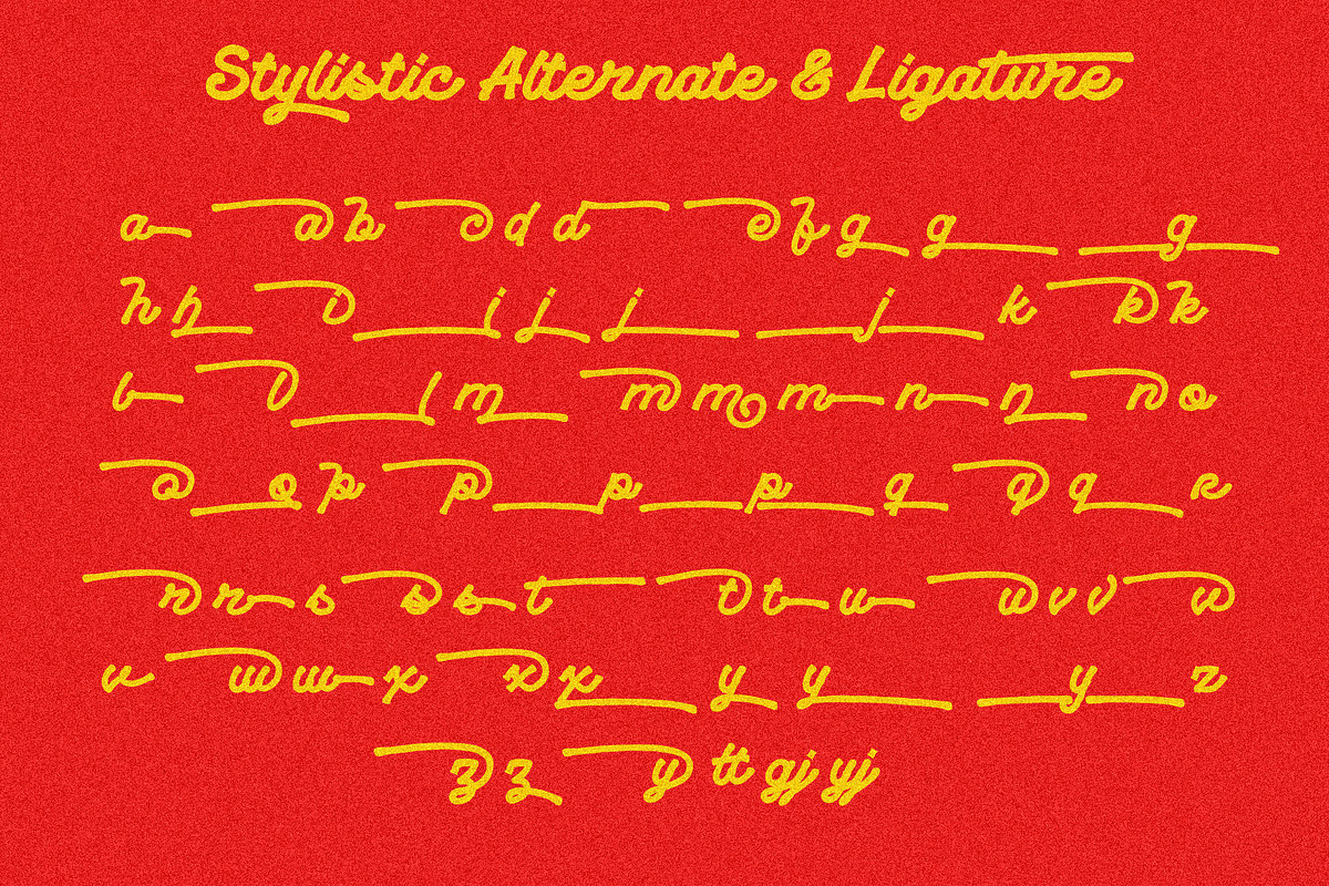 VT Playride - Font Vintage Script, a Script Font by ViactionType (Photo 9 of 13)