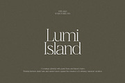 Gladiator - Chic Serif, a Serif Font by Mikhail Fukurou (Thumbnail 4 of 11)