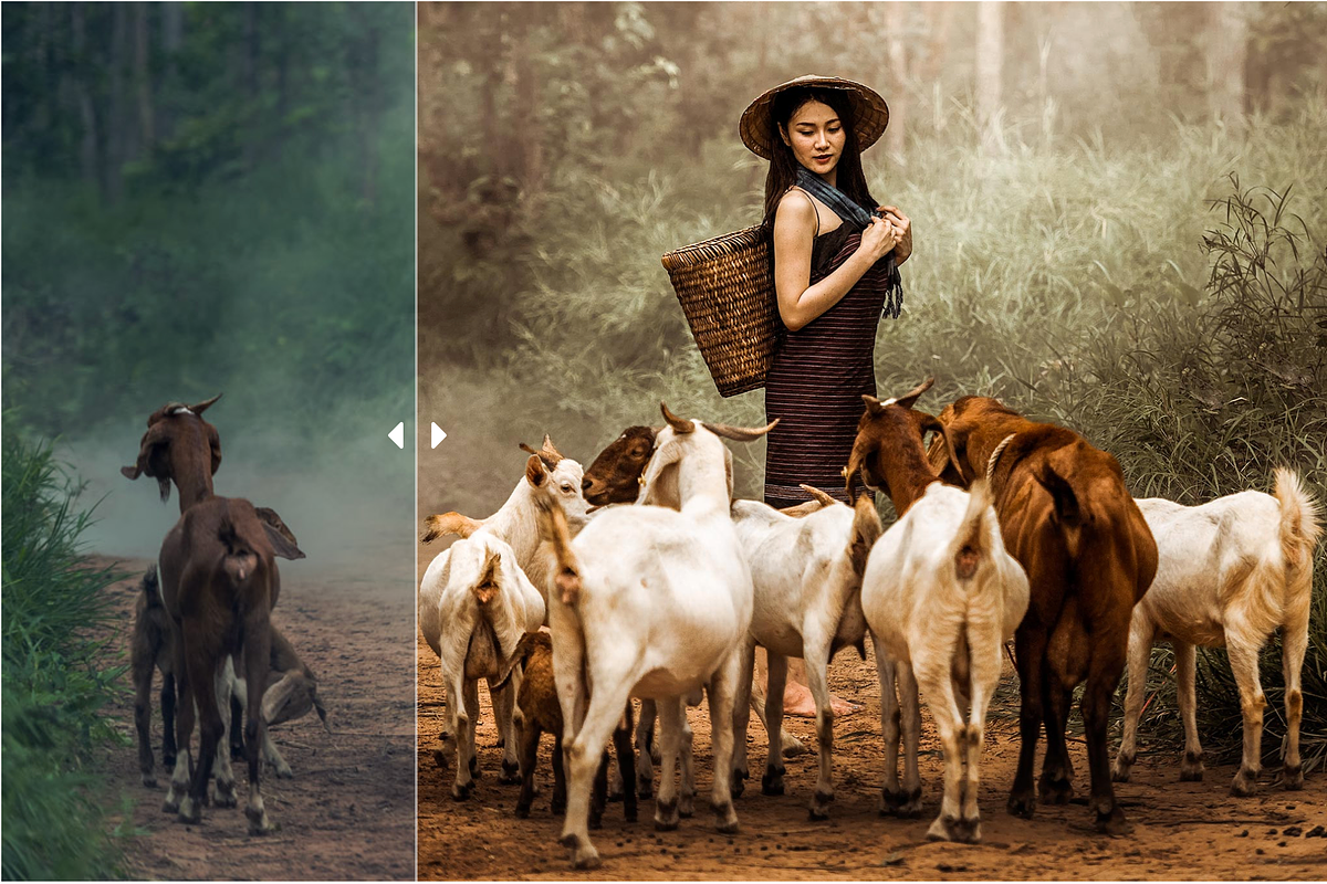 Lightroom Presets (Mobile + Desktop), a Layer Style Add-On by yosscinematic (Photo 10 of 18)