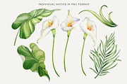 Calla Lily Seamless Pattern, a Pattern Graphic by PicByKate (Thumbnail 6 of 13)